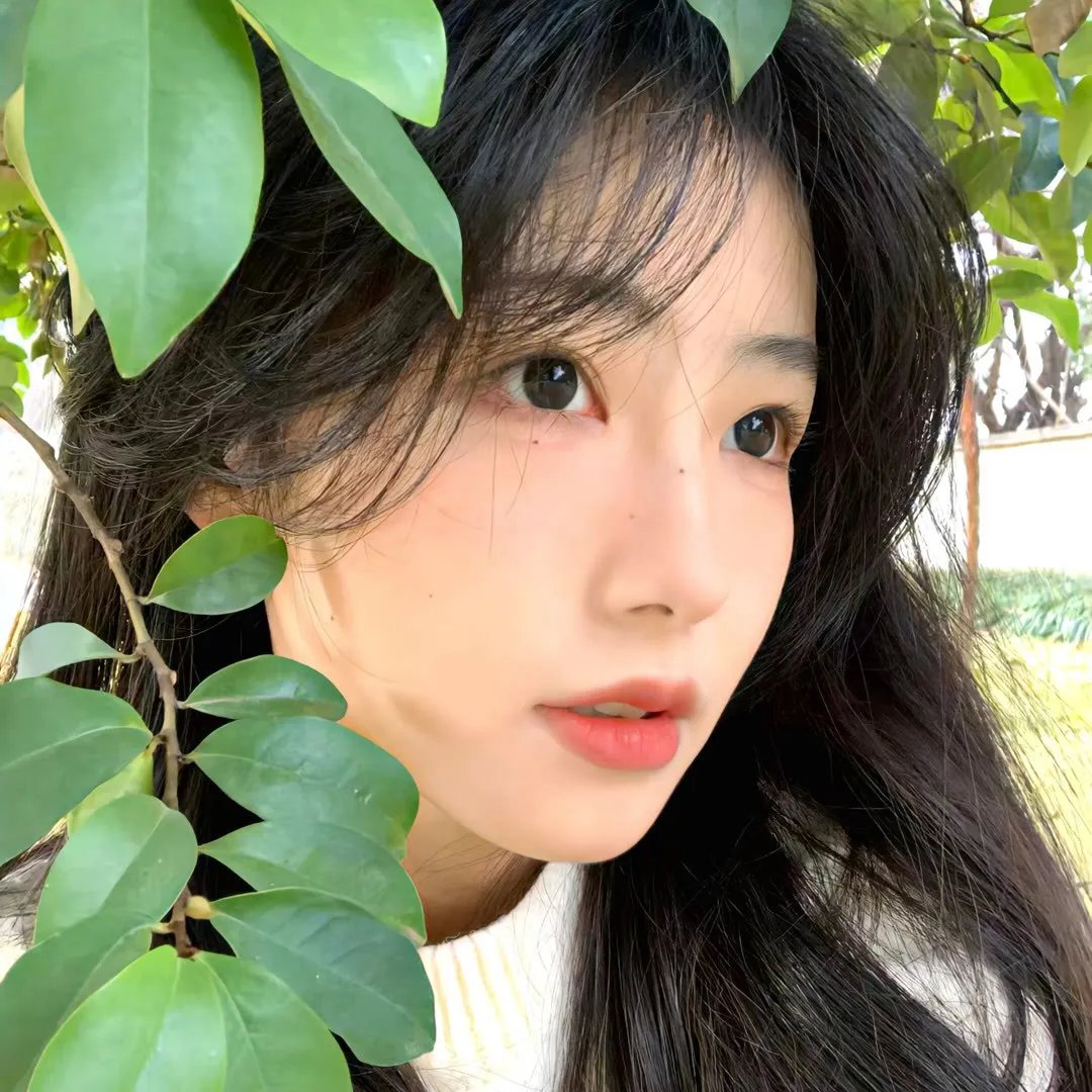 暗街花 在线观看
